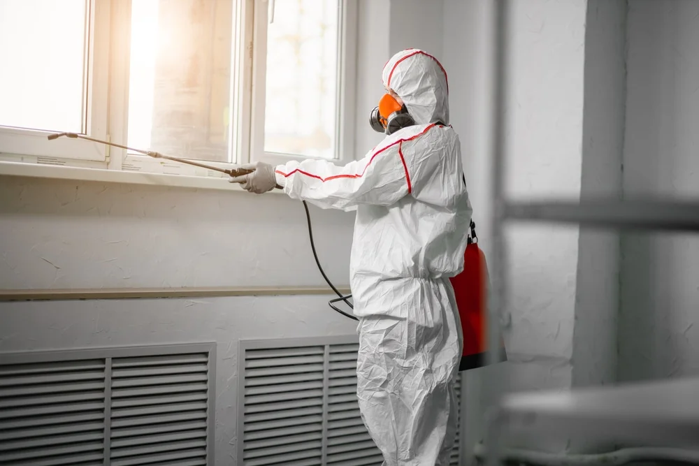 Professional mold remediation services in Stuart, IA